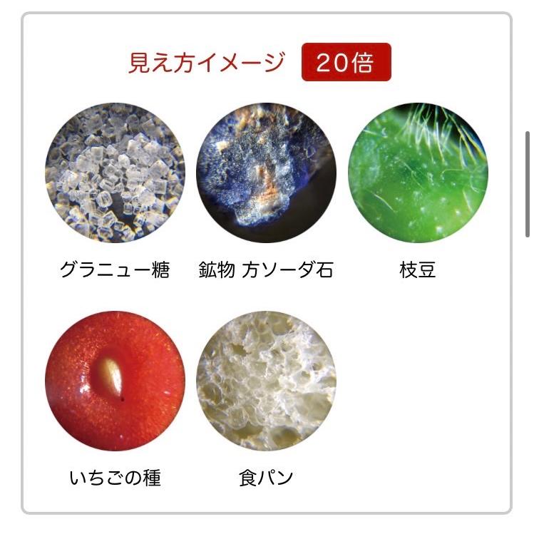 レイメイ ハンディ 《顕微鏡》 petit *ブルー* RXT1142A スマホ撮影 自由研究 LEDライト付 UVライト付