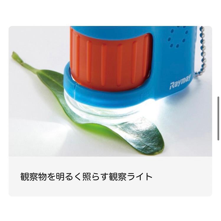 レイメイ ハンディ《 顕微鏡 》petit* バイオレット* RXT1142V スマホ撮影 自由研究 LEDライト付 UVライト付