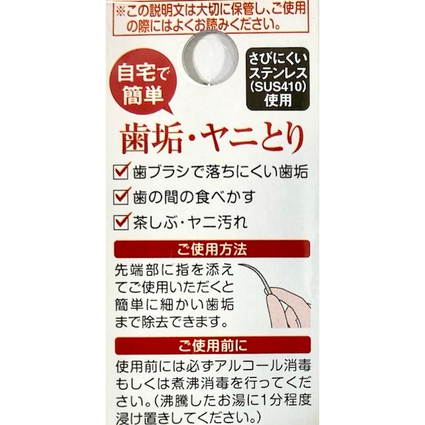 アイメディア デンタルケア 歯垢・ヤニとり ステンレス使用 お家で簡単